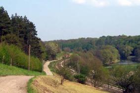 Waldweg-Tal Freiberger Mulde